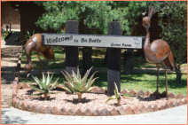 game farm babatle, game photography, game farm limpopo,game farm accommodation,