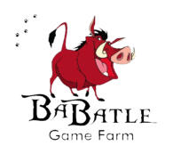 Ba Batle Game Farm, Limpopo South Africa