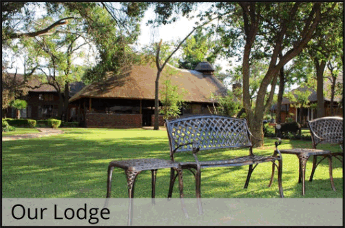 BaBatle Game Farm and Lodge, Limpopo